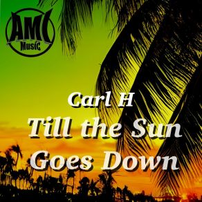 Download track Till The Sun Goes Down Carl H