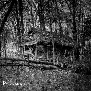 Download track Ursula Kemp Pyewacket