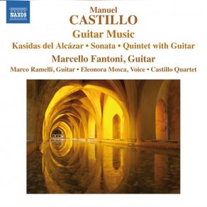 Download track Guitar Sonata - IV. Presto Marcello Fantoni, Marco Ramelli