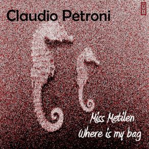 Download track Where Is My Bag Claudio Petroni