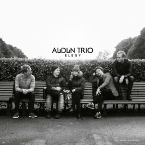 Download track Elegy Audun Trio