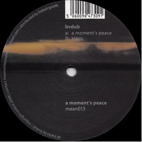 Download track A Moment'S Peace Bvdub