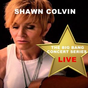 Download track Diamond In The Rough (Live) Shawn Colvin