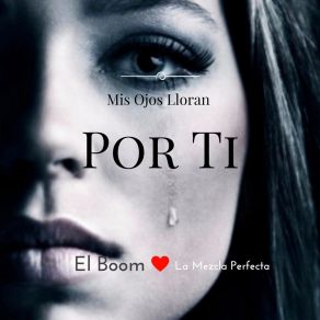 Download track Mis Ojos Lloran Por Ti El Boom La Mezcla Perfecta