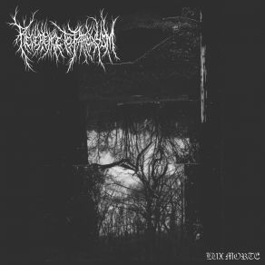 Download track Necropacity Reverence To Paroxysm