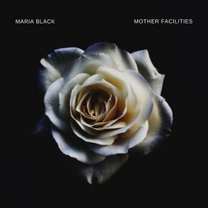 Download track Splashes Administrators The Black Maria