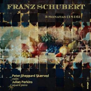 Download track Violin Sonata In D Major, Op. 137 No. 1, D. 384: I. Allegro Molto Peter Sheppard, Julian Perkins