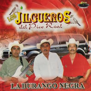 Download track Corrido A Martin Flores Los Jilgueros Del Pico Real