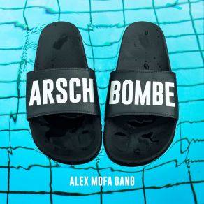 Download track Was Am Ende Bleibt Alex Mofa Gang