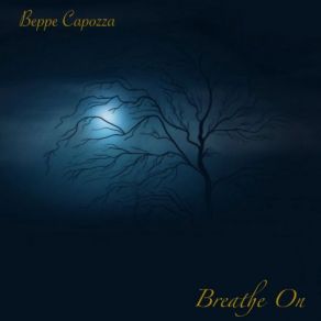 Download track Under The Moonlight Beppe Capozza