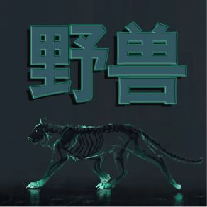 Download track 虚荣 刘忠亮