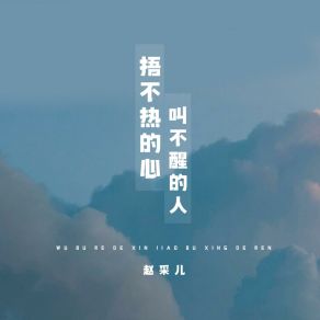 Download track 捂不热的心叫不醒的人 赵采儿