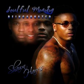 Download track Soulful Moaning Shawn Harris