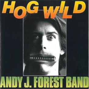 Download track Dodge Andy J. Forest Band