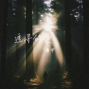 Download track 追寻的光 (伴奏) Yu Shan