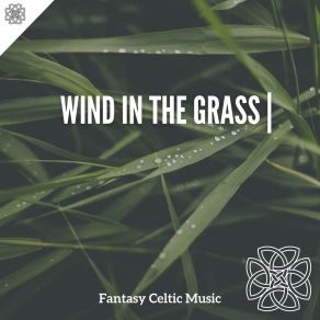 Download track The Contradiction Fantasy Celtic Music