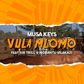 Download track Vula Mlomo (Radio Edit) Sir Trill