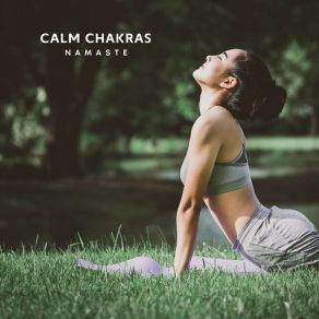 Download track Yoga Music For Morning Practice Namasté