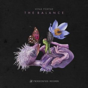 Download track The Balance (Mountains) Vena Portae