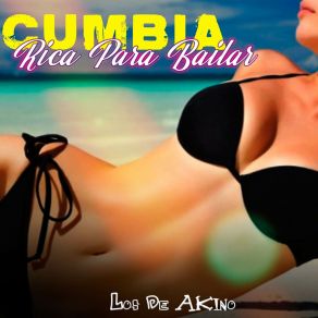 Download track Pa'l Baile Con Mi Negra Los De Akino