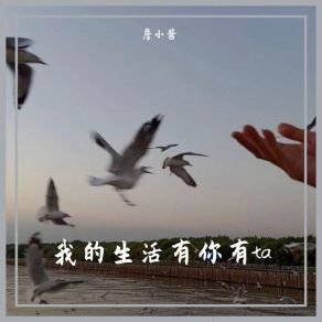 Download track 袖手旁观旋律 (热推版) 詹小酱