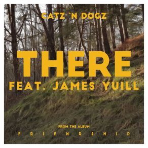 Download track There (Michael Mayer Remix) Catz N' DogzJames Yuill