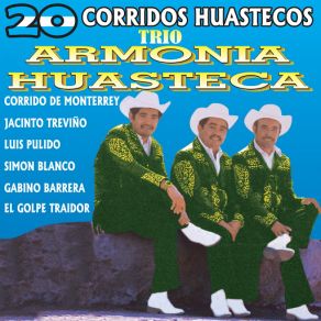 Download track Arcadio Peña Trio Armonia Huasteca