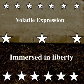 Download track Liberated Spirit Volatile Expression