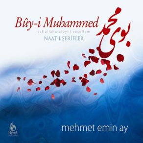 Download track Sayesi Düşmez Yere Mehmet Emin Ay