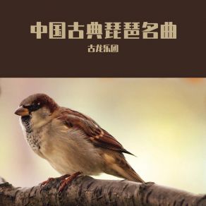 Download track 琵琶怨 (琵琶曲) 古龙乐团