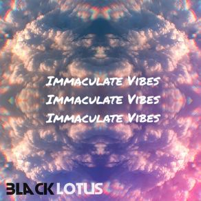 Download track Immaculate Vibes Blacklotus