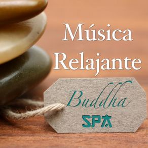 Download track Best Relaxing Sounds Of Nature For Meditation MusicoterapiaPiano Magic, Magic