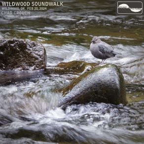 Download track Part 10, American Dipper Theme Chad Crouch