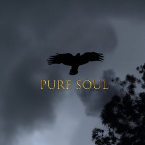 Download track Pure Soul TEVALIK