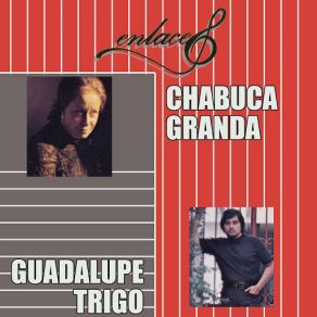 Download track Canción Con Sombrero Guadalupe Trigo