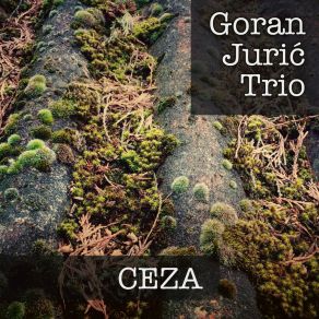 Download track Intro Za Spooky Goran Jurić Trio