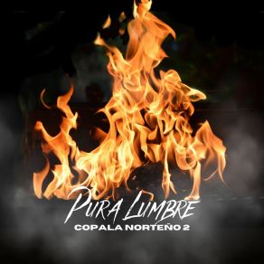 Download track El Centenario / Se Fue La Pantera Pura Lumbre