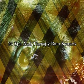 Download track Rainforest Refreshment Meditation Rain Sounds