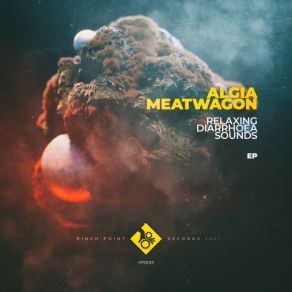 Download track Unsettling Birdsong Meatwagon