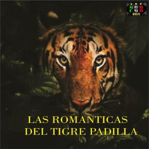 Download track Me Estoy Enamorando El Tigre Padilla