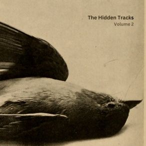 Download track A Deeper Shade To Warm The Hillside Sparrow Orange