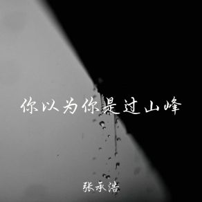 Download track 脉搏与心脏的距离为零 张承浩