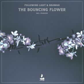 Download track The Bouncing Flower (Spanless Remix) Brawan