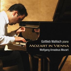 Download track Fantasy In D Minor, K. 397 Gottlieb Wallisch