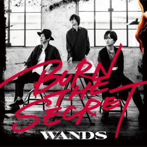 Download track 抱き寄せ 高まる 君の体温と共に Wands