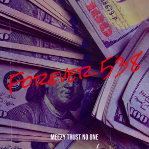 Download track Hit Stick Meezy Trust No One