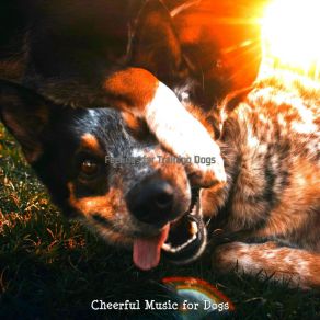 Download track Fashionable Ambiance For Training Dogs Cheerful Music For Dogs