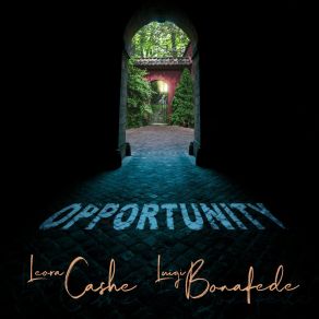 Download track Opportunity Leora Cashe