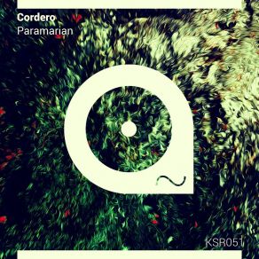 Download track Garbage Bag With Head Inside (Martin Bellomo Remix) Cordero