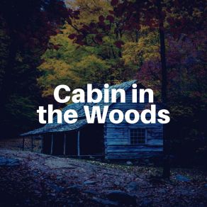 Download track Relaxing Cabin Noise, Pt. 28 Relaxing Cabin Noise